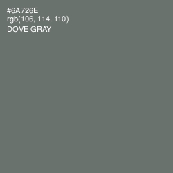 #6A726E - Dove Gray Color Image
